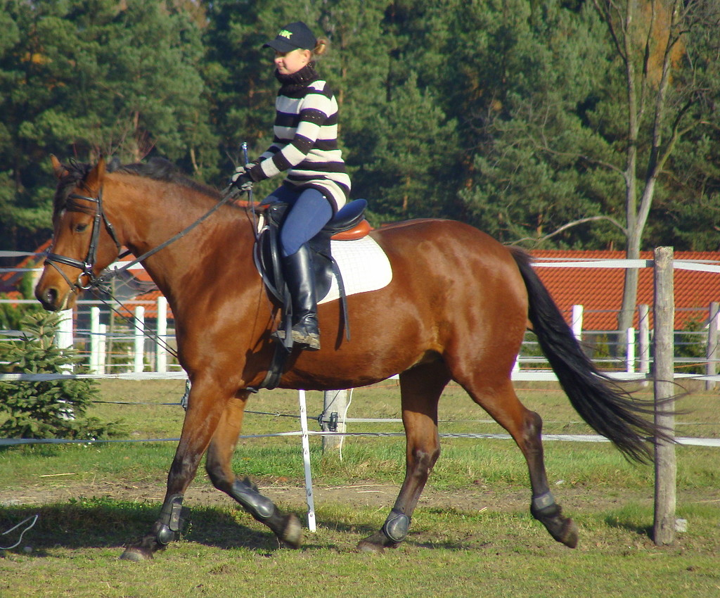 Na Alusi..:*