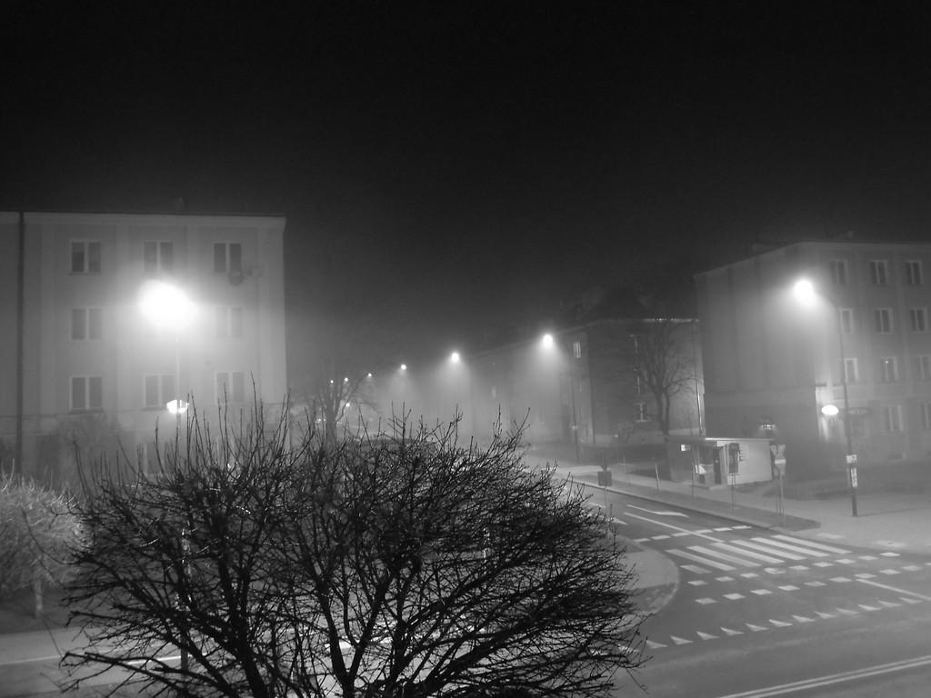 Mglista noc...
