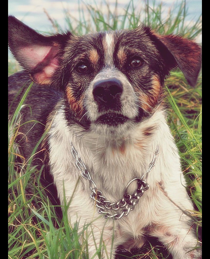 Brando :)