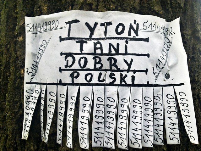 Ahh ta grodziecka 