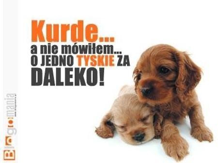 Pieski