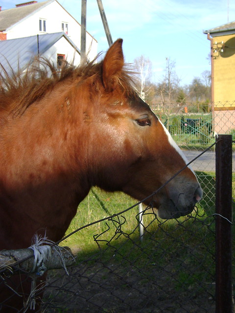 kocham. < 3