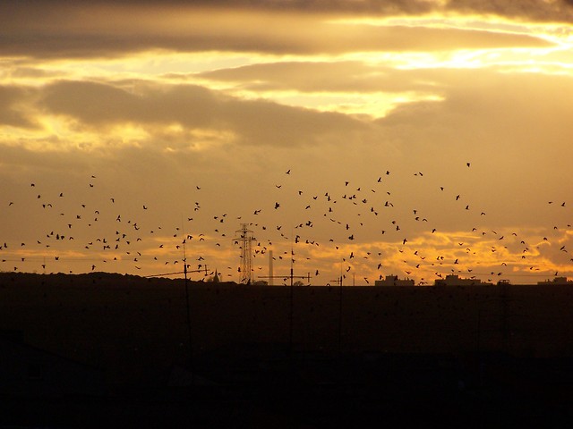 wamo-ten-teges