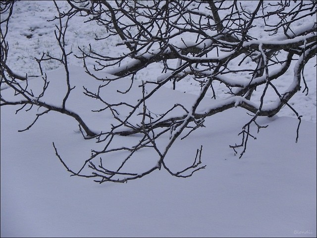 11 . 