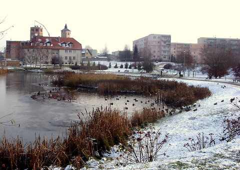 Olsztyn 27.11.10