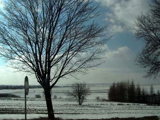 Winterspring...