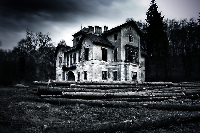 28.11.2010