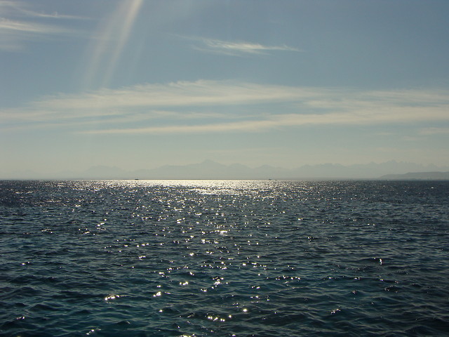 Laguna