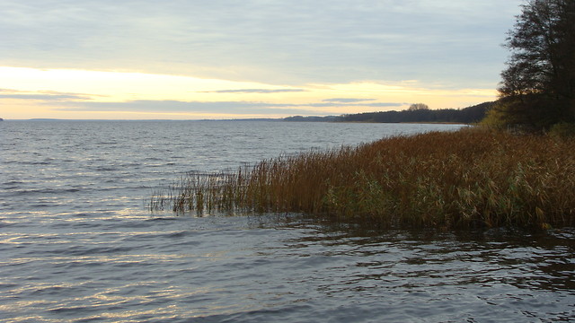 Miedwie