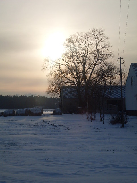 zima.