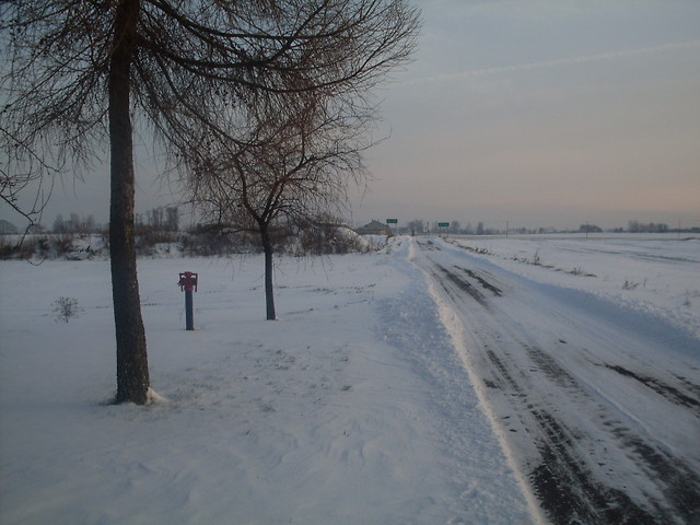 zimowe.