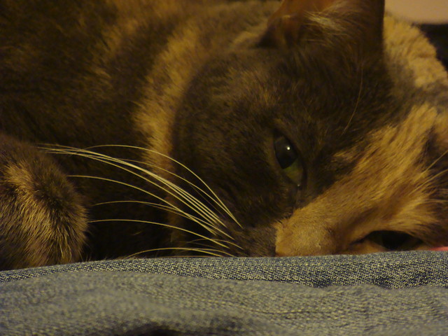 kika. 