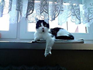 Puszek ;D