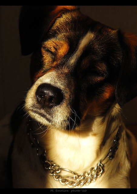 oczko ;P