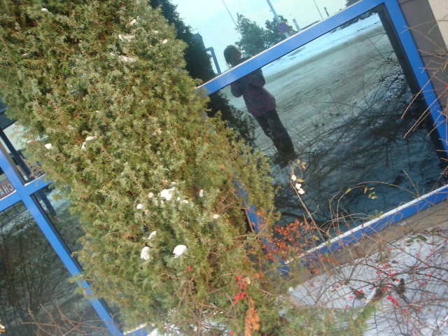 zimaa (: