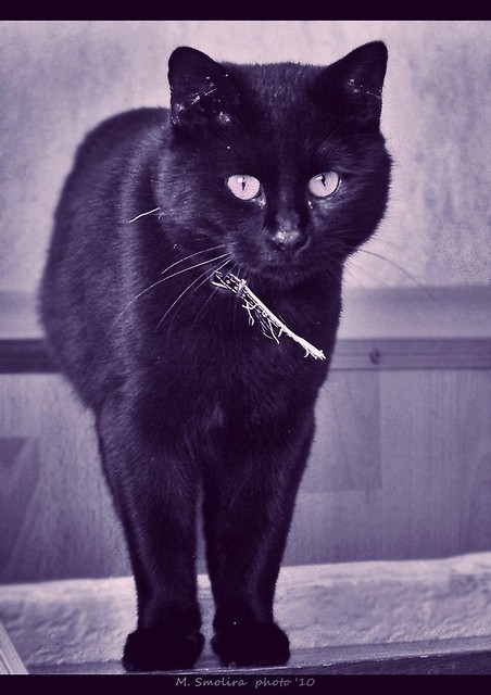 Tosiek ;)