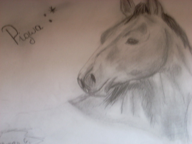 Pigwa . ;**