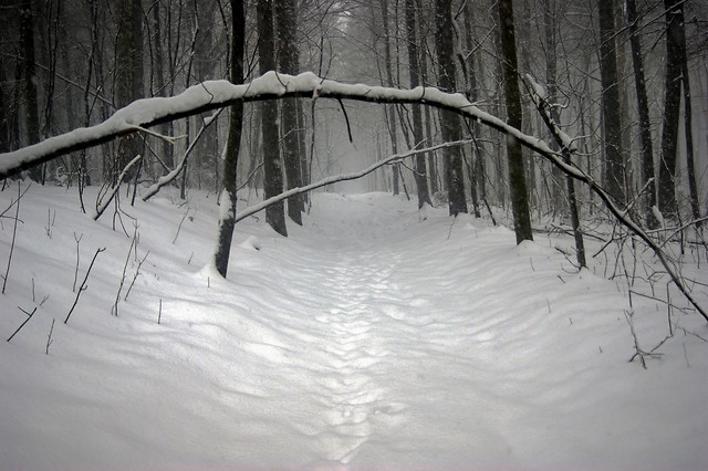 snow is falling
