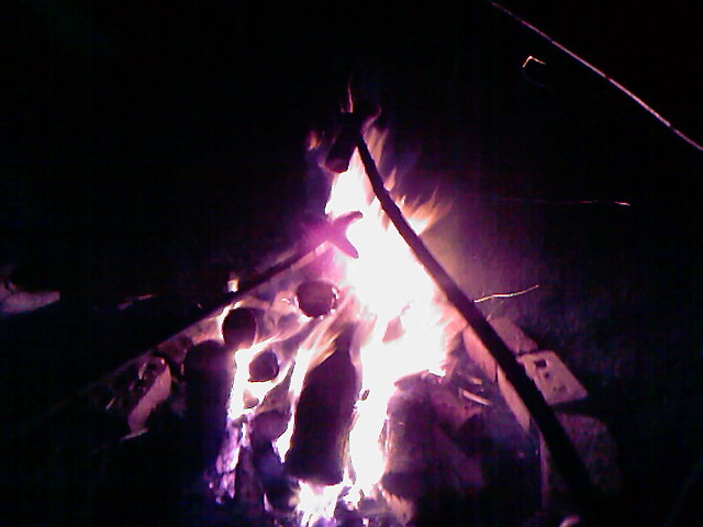 let it all burn