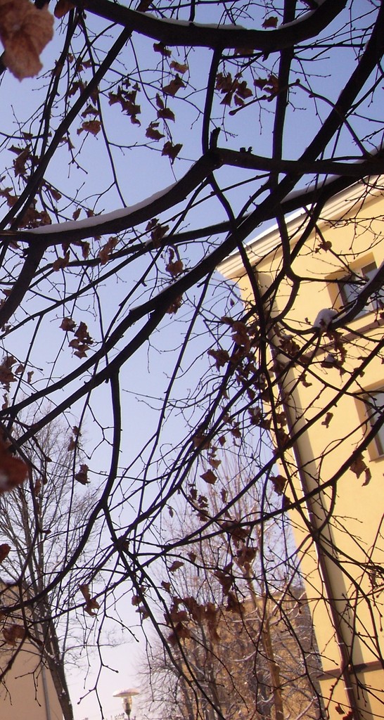 zimka przysza.