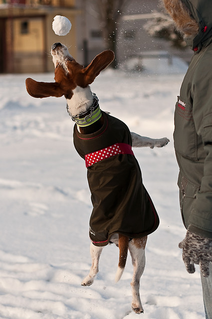 Moby