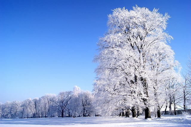 Blue sky #2