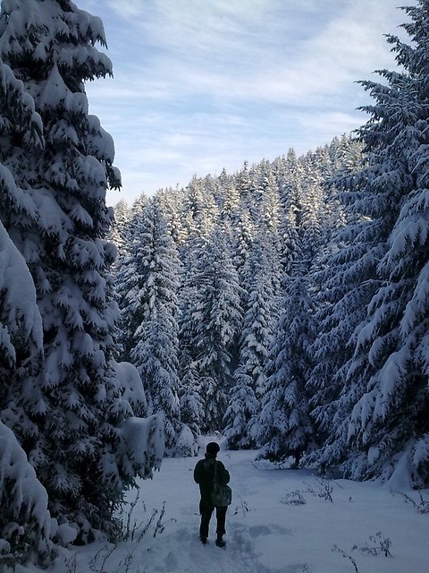 Beskid Sdecki 