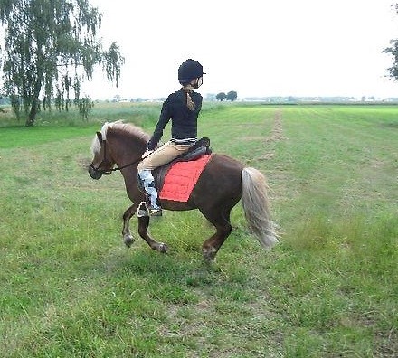 Galop ; *