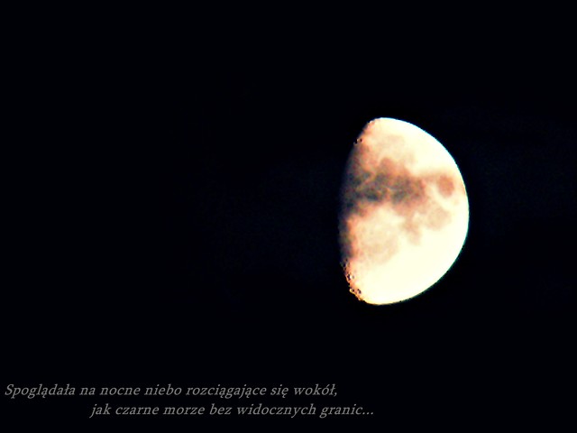 noc...