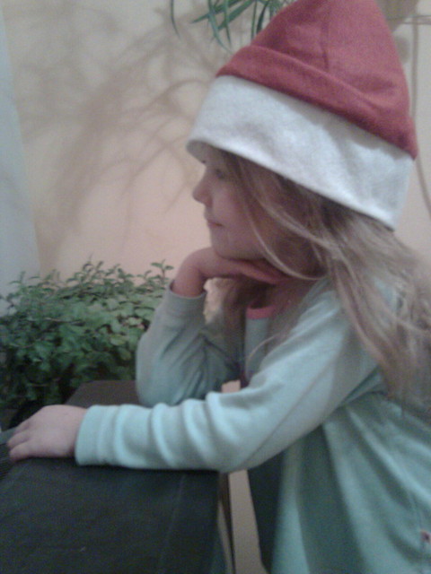 gabrysia . ; *