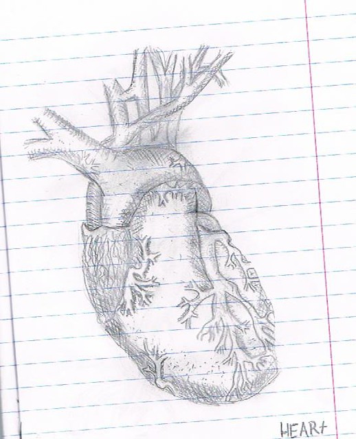 Heart