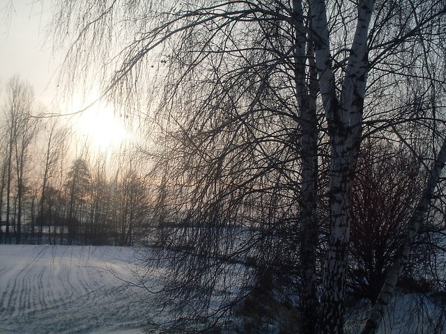 zimowe.