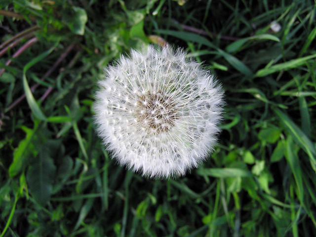 2006-05-15 / 19:05