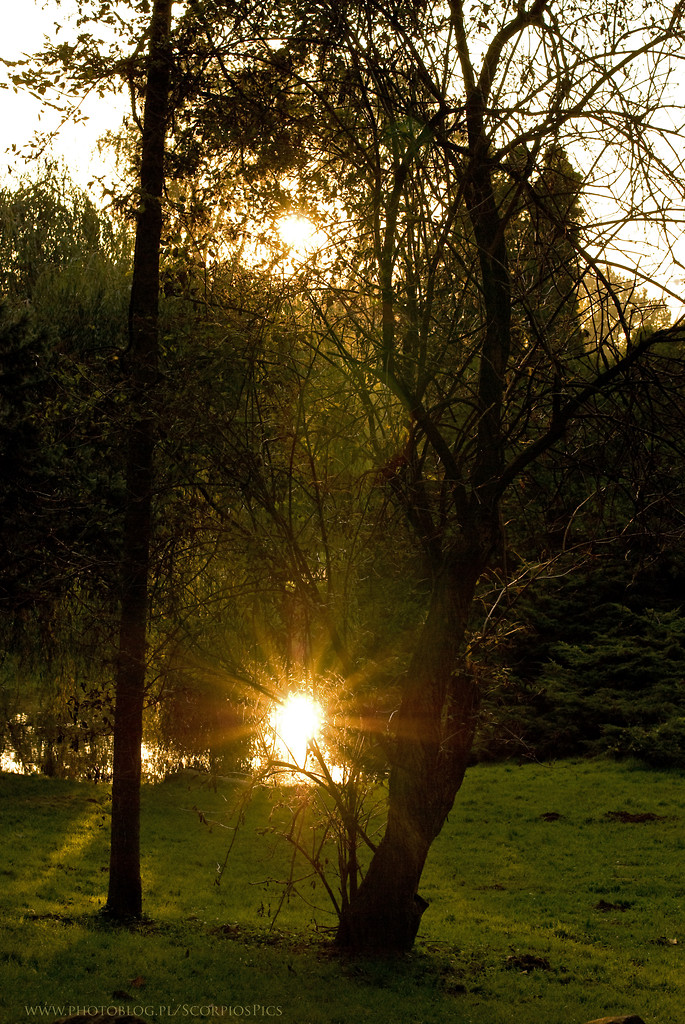 Park Skaryszewski