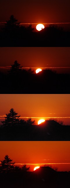 Sunrise