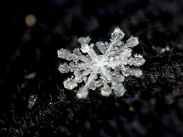 niene gwiazdki ❄❅