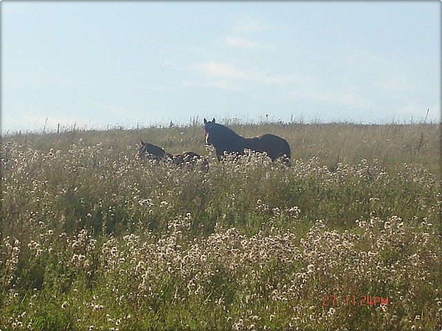 2. sierpie 2009