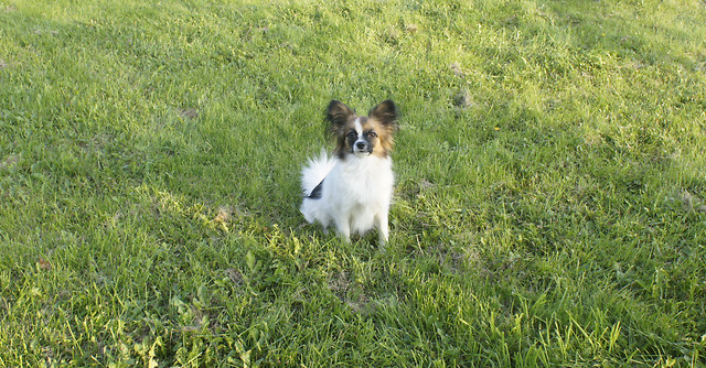 Abbey
