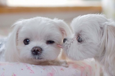 sweet