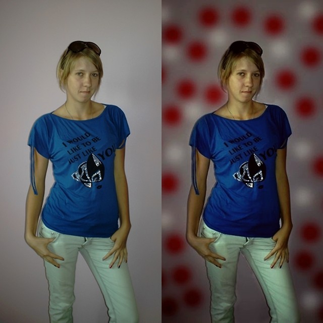 zdj.79