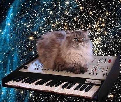 Keyboard kittie