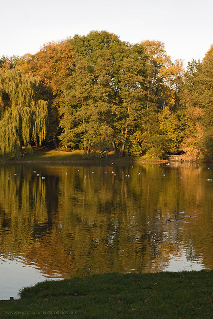 Park Skaryszewski