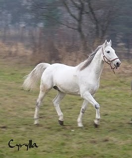 mojaa brykaczka ;d 