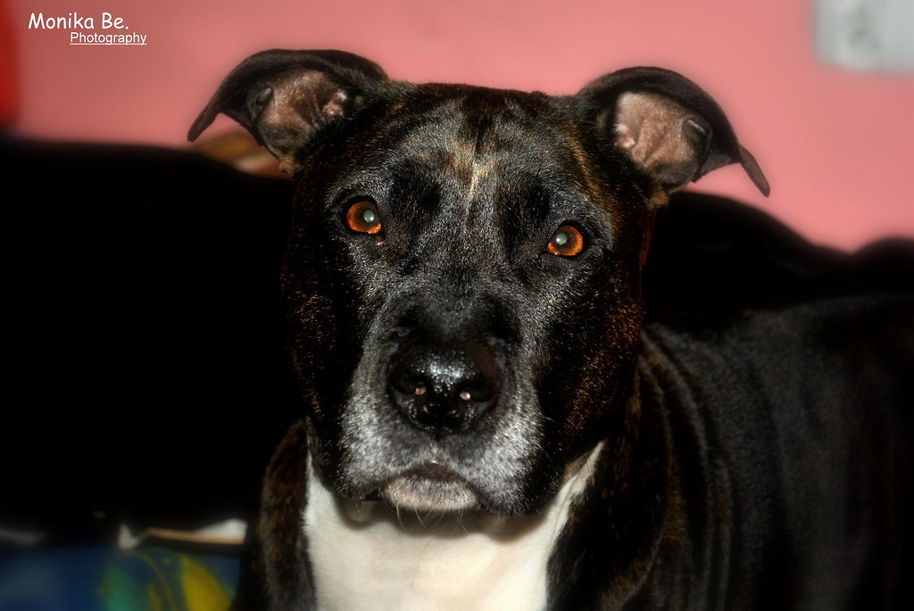 24 na dobe myle o tobie !