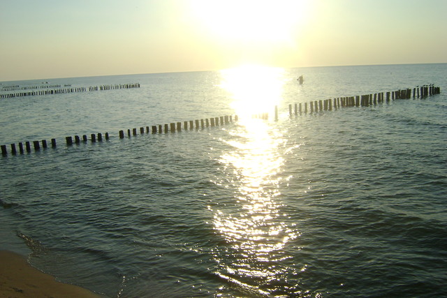 Wakacje 2010 ; * 