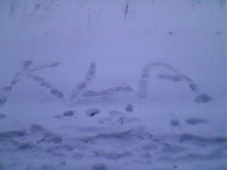 Moooja ;* 
