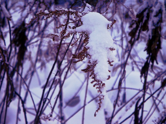 winter.