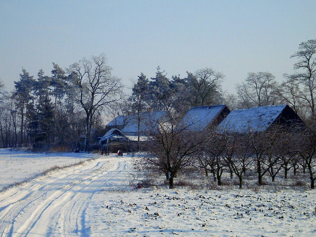 zima.