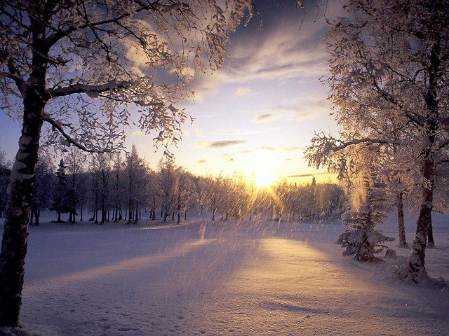 Ehh... Jutro Krzyacy