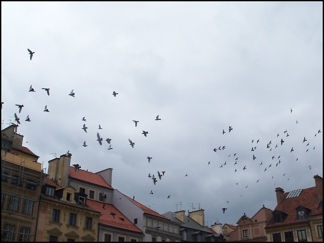 girlrose.fbl.pl